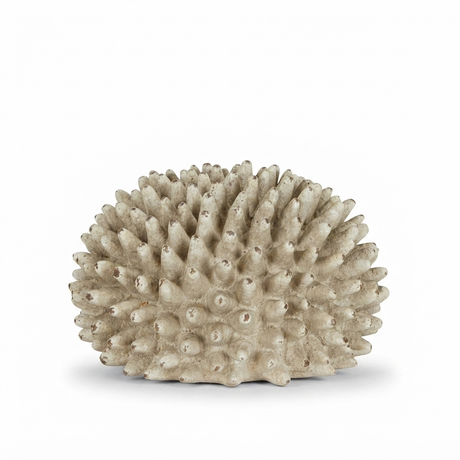 Rustic Urchin Flower — front view