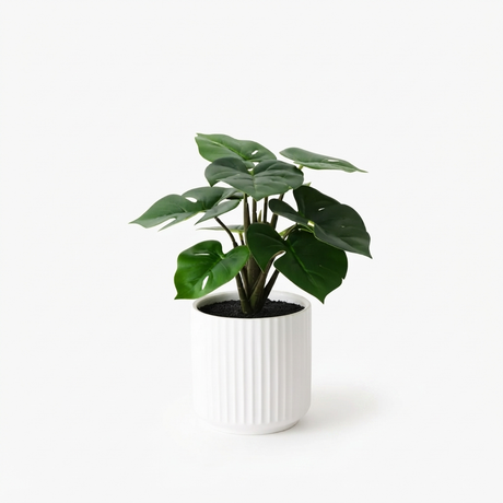 Monstera Plant in Pot - Artificial Plant (25cm H) — front view