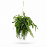 Fern Hanging - Artificial Plant (90cm) — front view