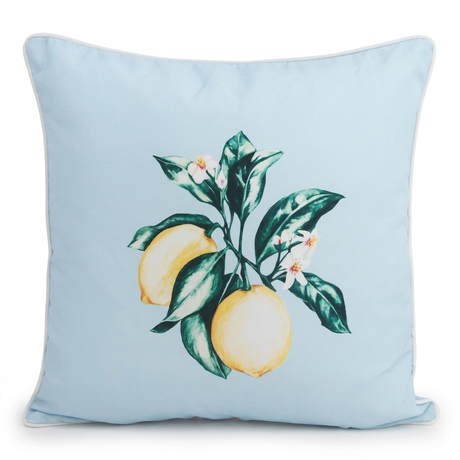 Citrus Blue 45x45cm Outdoor Cushion — front view