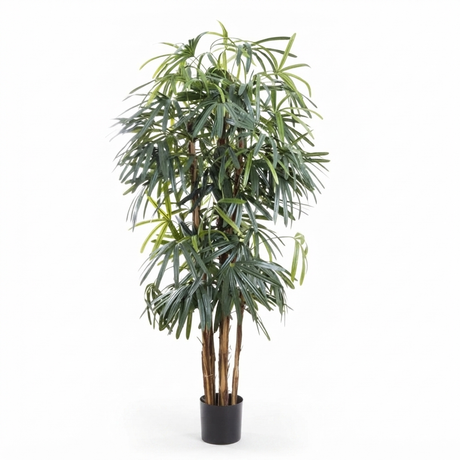 Raphis Palm - Artificial Plant (180cm) — front view