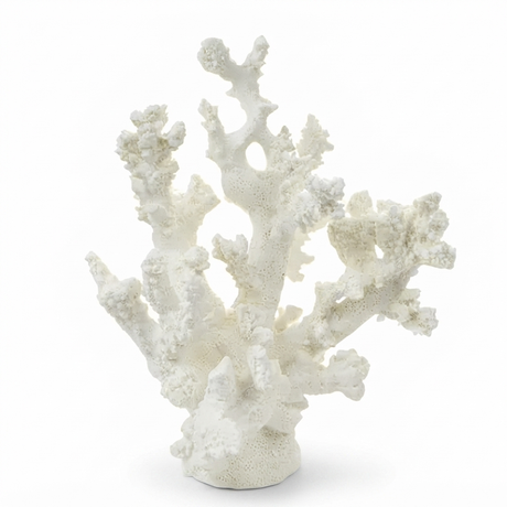 Anenome Coral Resin Sculpture White Small — front view