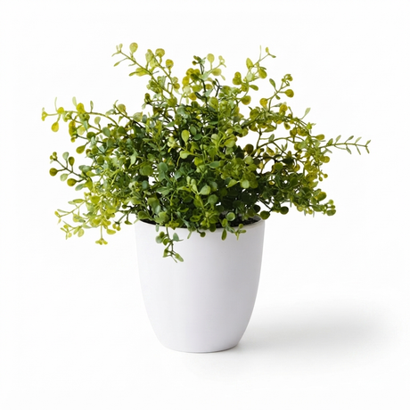 Boxwood Plant - Artificial Plant (28cm H) — front view
