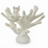 Anenome Coral Resin Sculpture White — front view