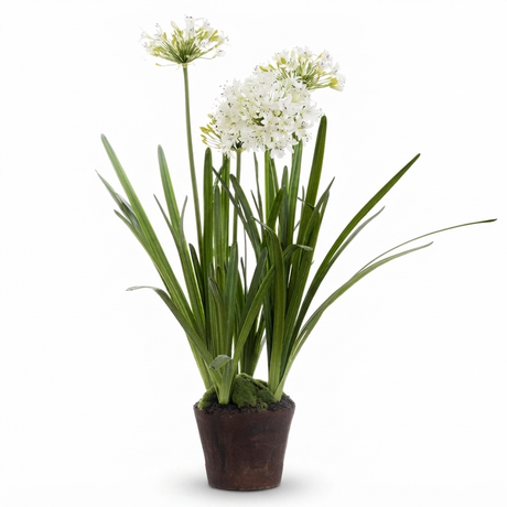Agapanthus in Paper Pot White - Artificial Plant — front view