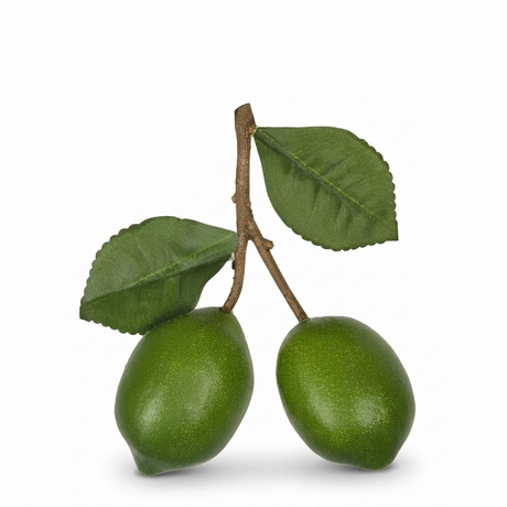 Lime Branch Green — front view