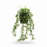 Boxwood Vine Hanging in Pot - Artificial Plant (74cm) — front view