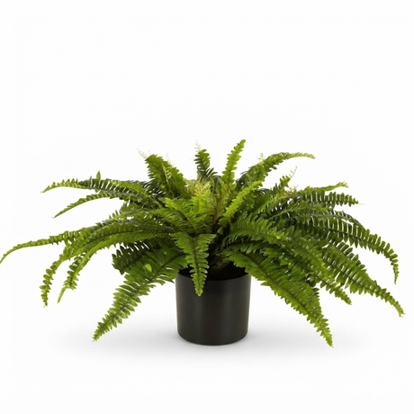 Boston Fern in Blk Pot- Artificial Plant — front view