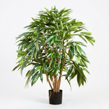 Royal Longfolia - Artificial Plant (90cm) — front view