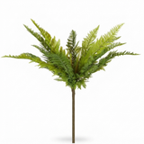 Native Fern Green — front view