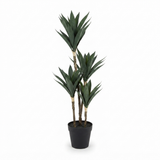 Yucca Quad Pot 66cm — side view