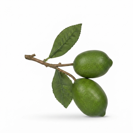 Lime Branch Green — side view