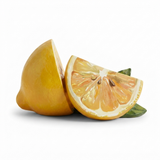 Lemon Slice Wall Art — side view