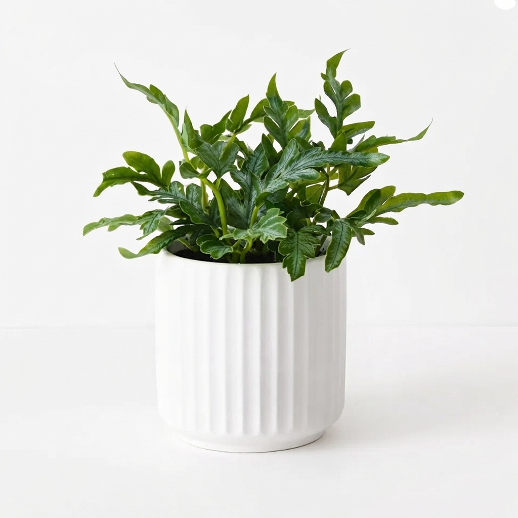 Fern Kangaroo in Pot - Artificial Plant (20cm H) — side view