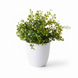 Boxwood Plant - Artificial Plant (28cm H) — side view