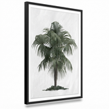 Palm Cove Print 103 x 73cm — side view