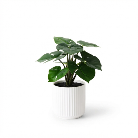 Monstera Plant in Pot - Artificial Plant (25cm H) — side view