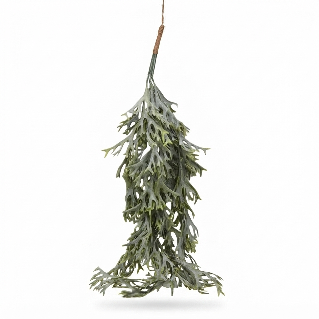 Hanging Staghorn Leaf Bunch — side view
