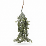 Hanging Staghorn Leaf Bunch — side view