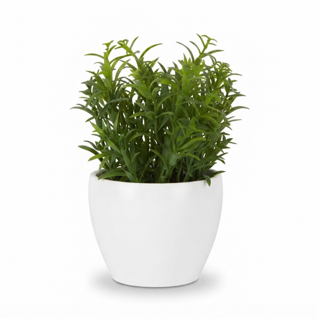 Sedum in White Melamine Pot — side view