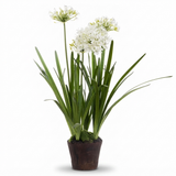 Agapanthus in Paper Pot White - Artificial Plant — side view