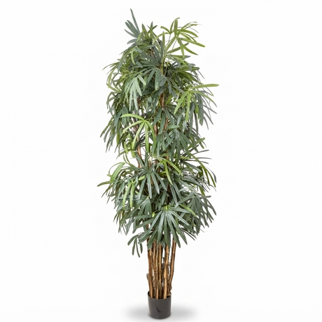Raphis Palm - Artificial Plant (240cm) — side view