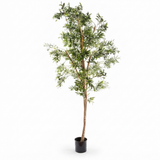 Olive Tree - Artificial Plant (240cm) — side view