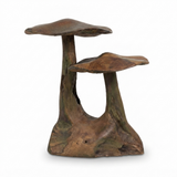 Teak Mushroom Joined — side view