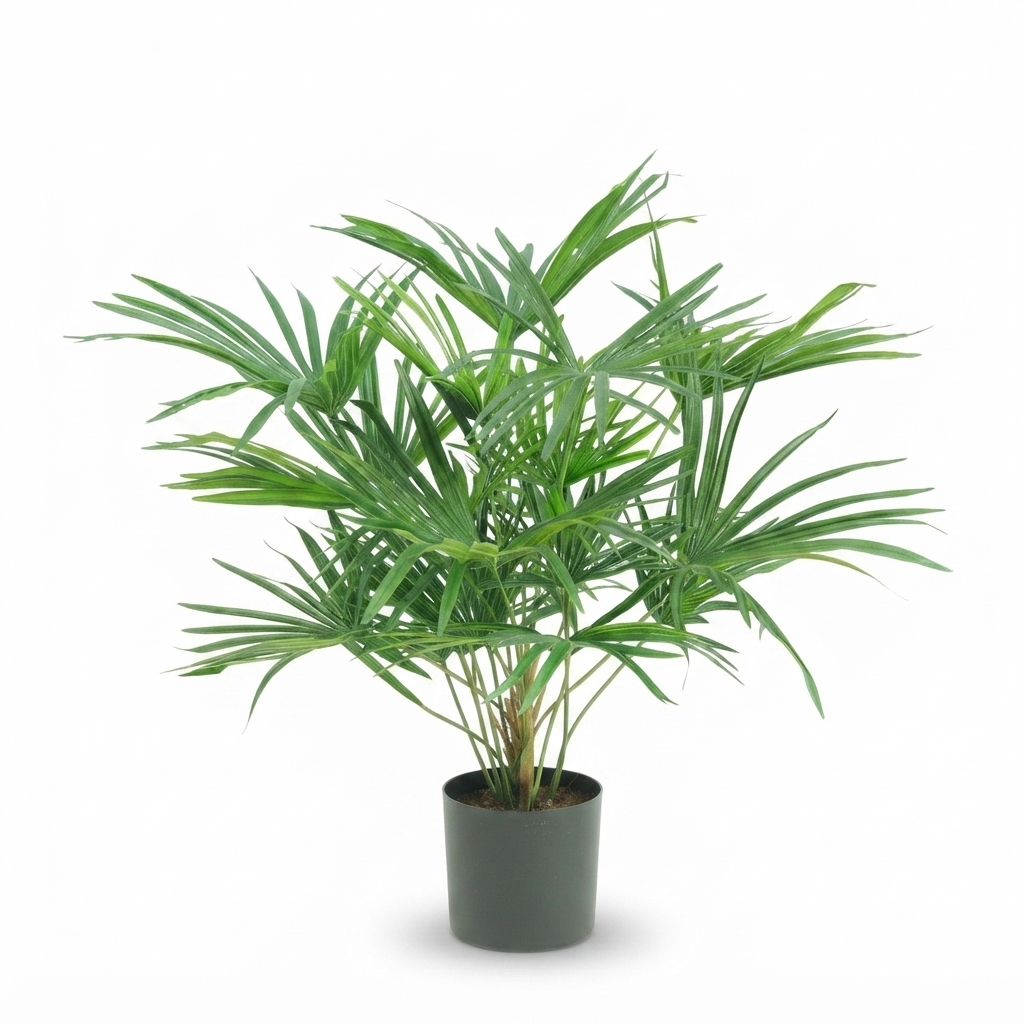 Baby Fan Palm Potted Bush w/17 Leaves 45cm — side view