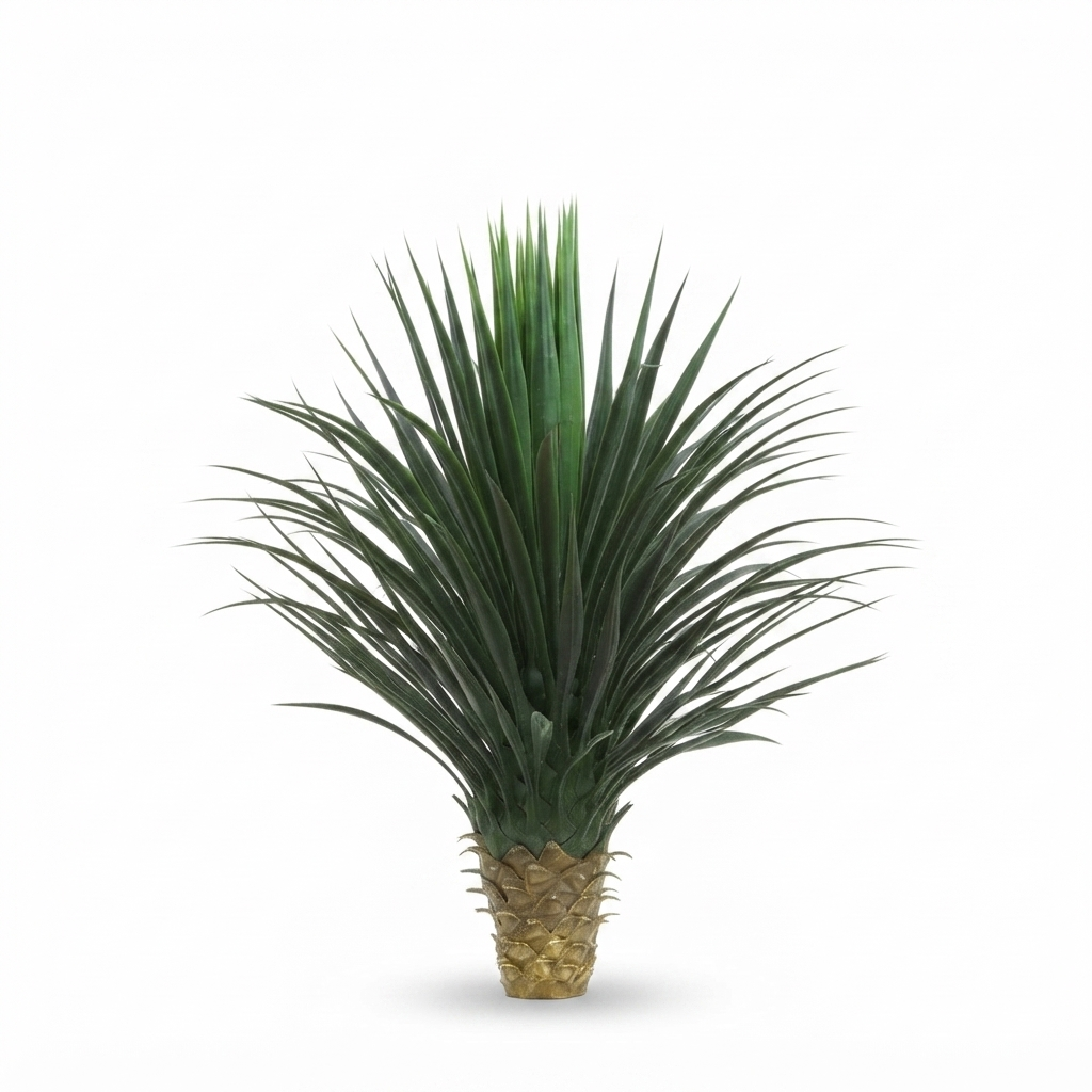 Giant Yucca Rostrata 78cm — side view