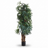 Raphis Palm Thin Leaf - Artificial Plant (200cm) — side view