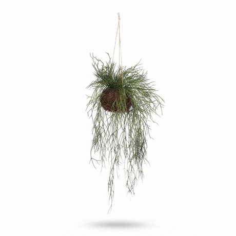 Sea Grass Vine Hanging - Artificial Plant (100cm) — side view