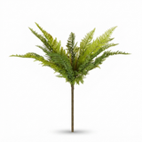 Native Fern Green — side view