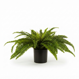 Boston Fern in Blk Pot- Artificial Plant — side view