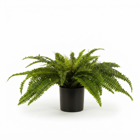 Boston Fern in Blk Pot- Artificial Plant — side view