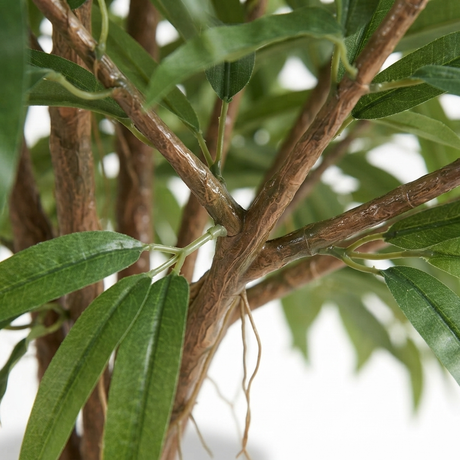 Royal Longfolia - Artificial Plant (90cm) — detail close-up