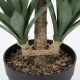 Yucca Quad Pot 66cm — detail close-up