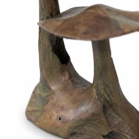 Teak Mushroom Joined — detail close-up