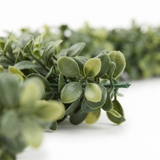 Boxwood Garland - (1.8m) — detail close-up