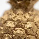 Golden Pineapple  -  Small — detail close-up