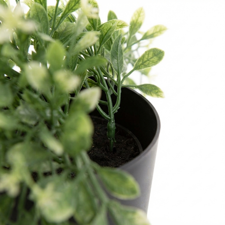 Boxwood Vine Hanging in Pot - Artificial Plant (74cm) — detail close-up