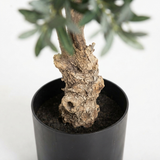 Olive Tree - Artificial Plant (150cm) — detail close-up