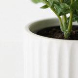 Fern Kangaroo in Pot - Artificial Plant (20cm H) — detail close-up