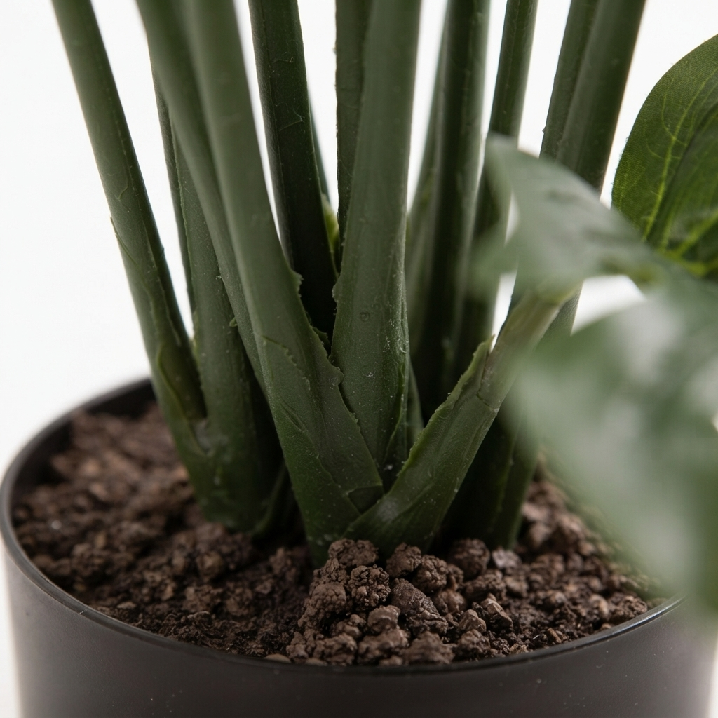 Monstera Split Philo Potted 63cm — detail close-up