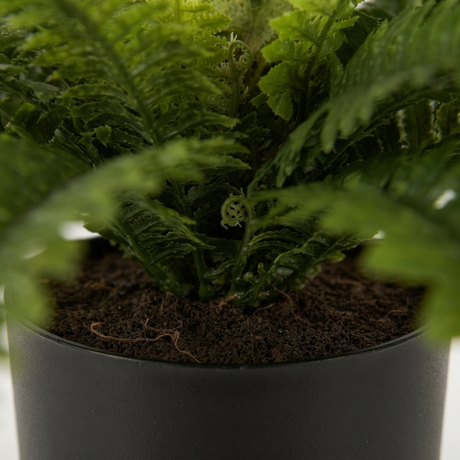 Boston Fern in Blk Pot- Artificial Plant — detail close-up