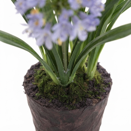 Agapanthus in Paper Pot Lavender - Artificial Plant — detail close-up