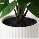 Monstera Plant in Pot - Artificial Plant (25cm H) — detail close-up