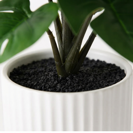 Monstera Plant in Pot - Artificial Plant (25cm H) — detail close-up