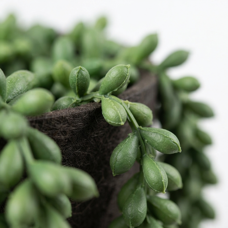 Hanging String of Pearl - Artificial Plant — detail close-up