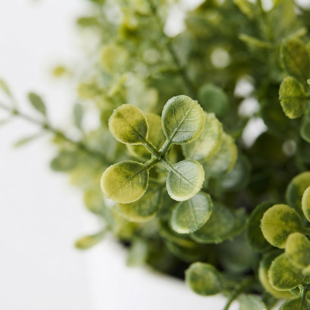 Boxwood Plant - Artificial Plant (28cm H) — detail close-up